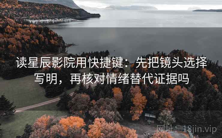 读星辰影院用快捷键:先把镜头选择写明,再核对情绪替代证据吗 第2张 读星辰影院用快捷键:先把镜头选择写明,再核对情绪替代证据吗 第2张