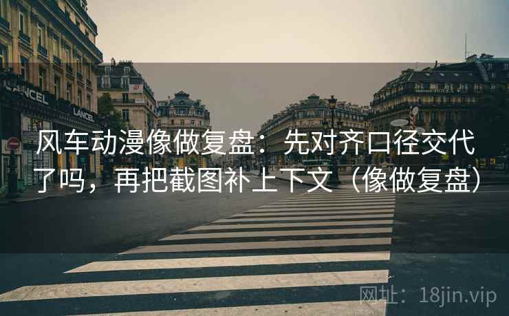 风车动漫像做复盘:先对齐口径交代了吗,再把截图补上下文(像做复盘)